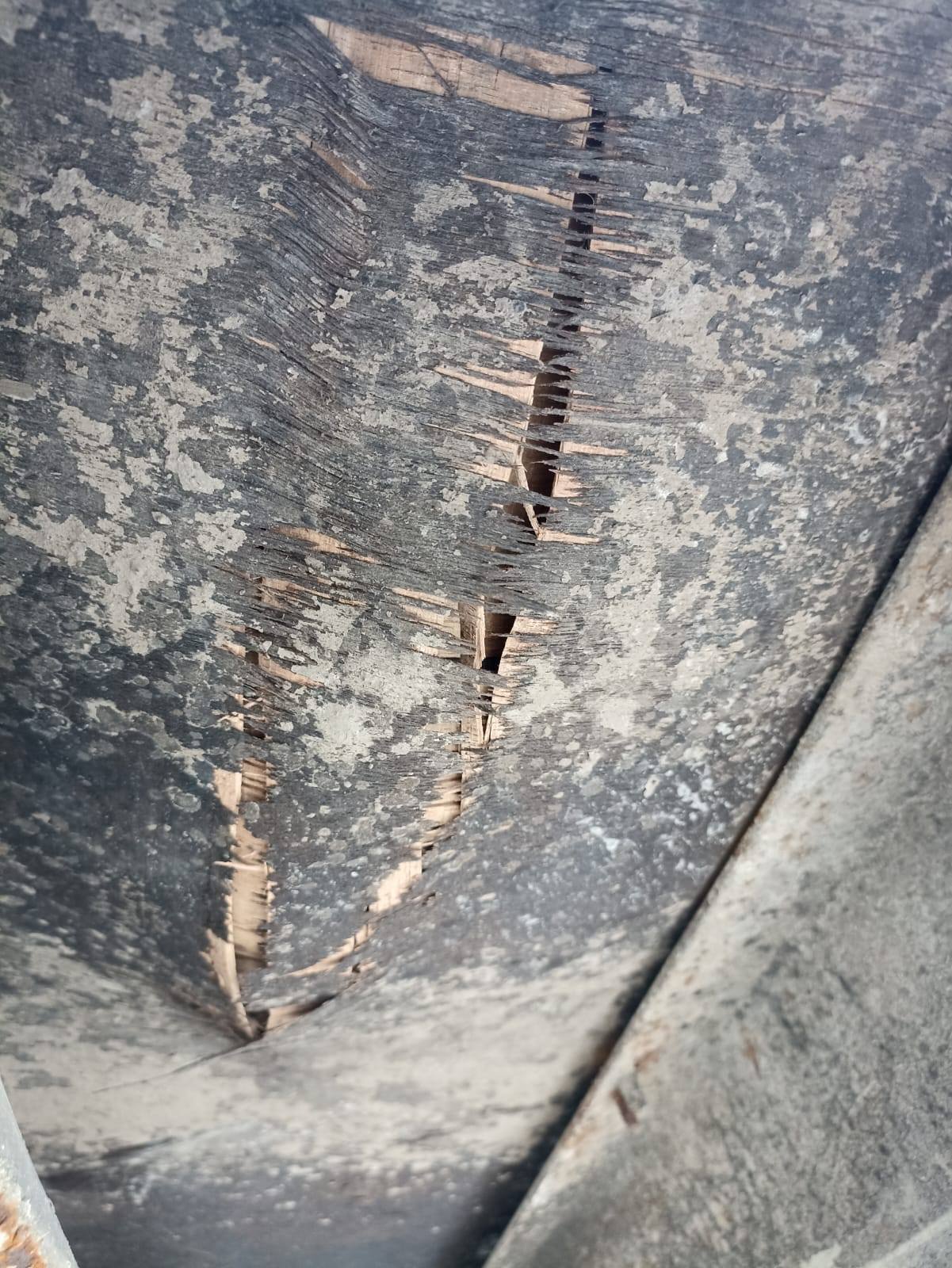 Морской контейнер TEMU2222234